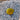 Replacement lenses duplicate group A image 44